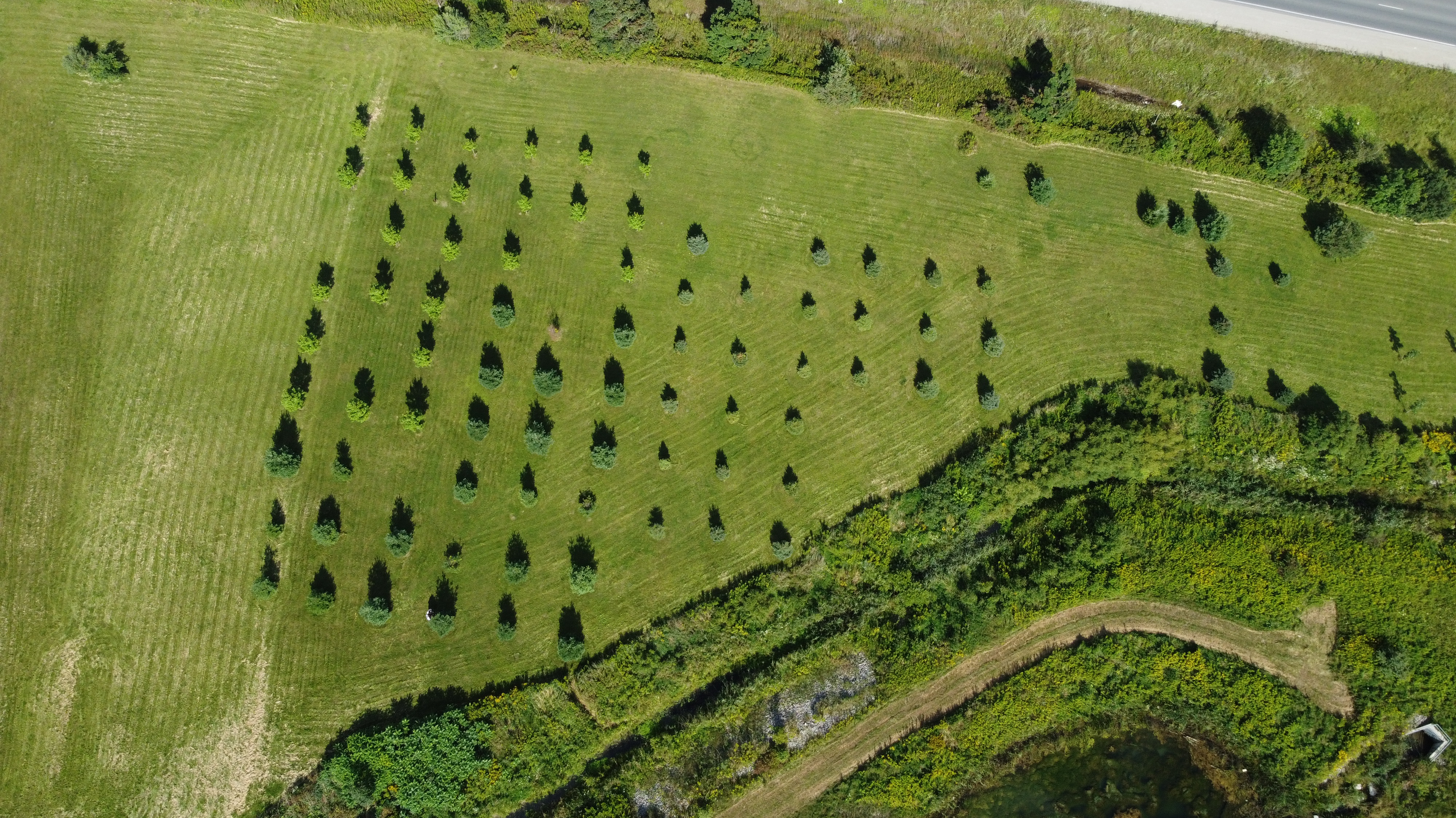 Preserving Military Heritage